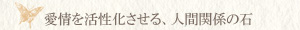 ロードナイト